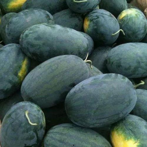 武汉吃瓜蒙主,揭秘网络热传事件背后的真相与反思