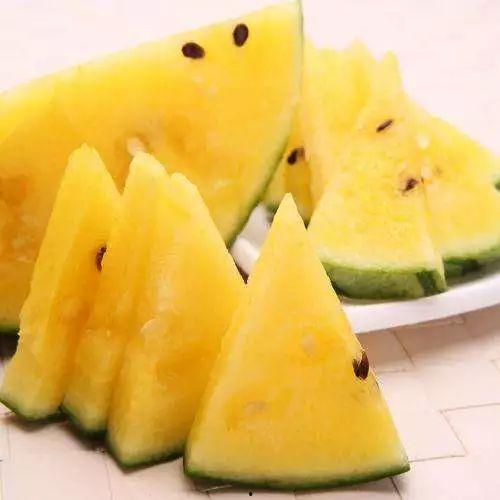 黑瓜吃风雨,黑瓜风雨中的成长历程