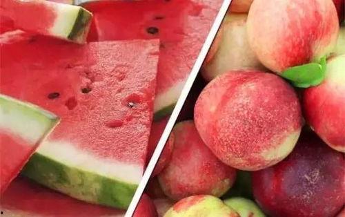 吃瓜少女可乐蜜蜂,揭秘网红界的甜蜜与辛辣