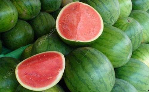 咳嗽发烧吃角瓜,缓解咳嗽发烧的天然良方