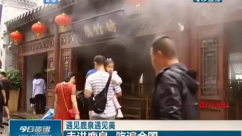 鹿泉女婿吃瓜视频,揭秘家庭纷争背后的真相