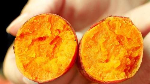 吃土瓜的热量,吃土瓜，健康又美味