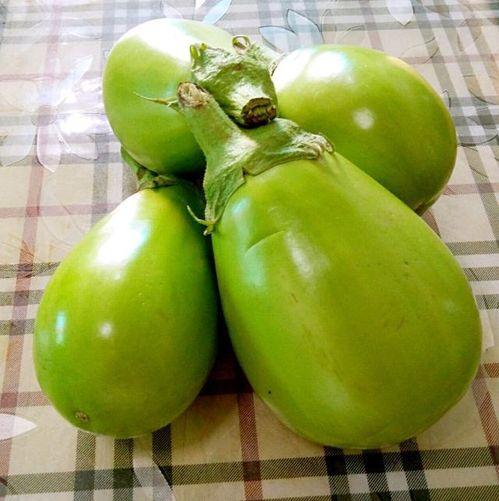 油王星吃瓜,一场星际吃瓜盛宴