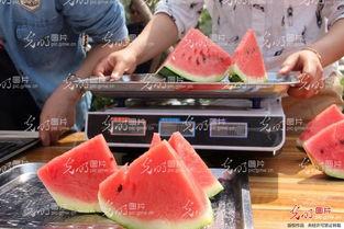 吃瓜山东事件,揭秘网络舆论背后的真相与反思