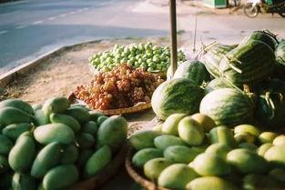 可爱中国吃瓜群众视频,跟随可爱中国吃瓜群众，一起品味生活百态