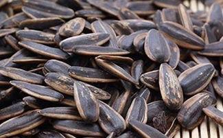 吃瓜是吃瓜子嘛还是瓜子