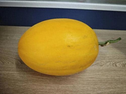 广西桂林吃瓜,美食之旅尽享田园风情