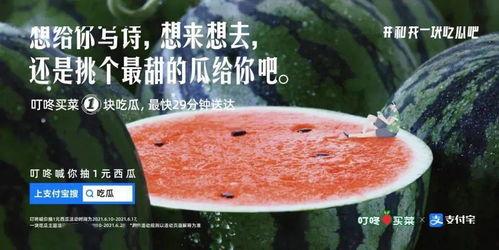 东北吃瓜文案短句,品味独特风味