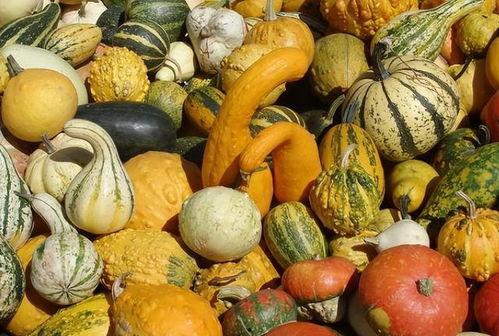 坐月子兰瓜可以吃吗,兰瓜是否适宜食用？