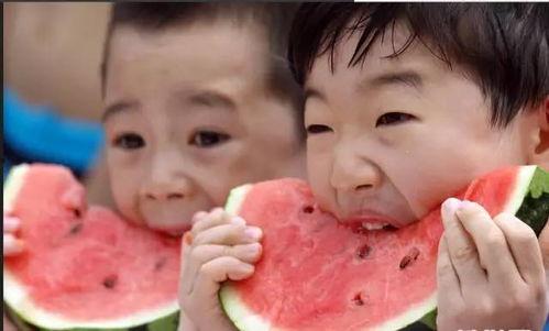 纳凉吃瓜,探寻消暑美食的乐趣