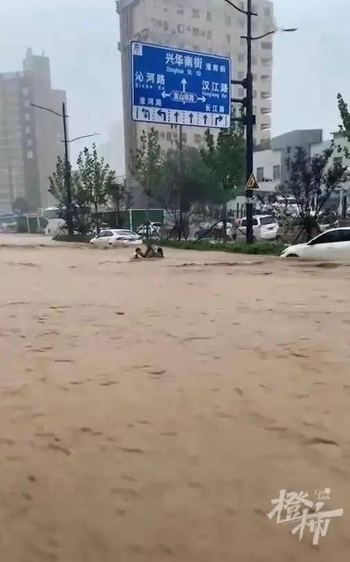 大雨吃瓜经典,夏日清凉一夏