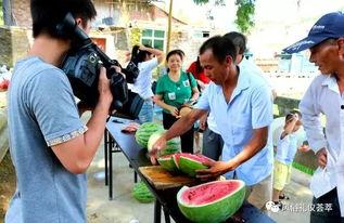 荆门疫情吃瓜群众,吃瓜群众视角下的实时动态与热议