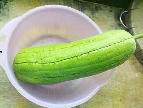 海南水瓜怎么吃,探索热带清新美食之旅