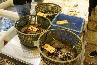 顺德一线吃瓜,探寻地道美食，品味瓜香四溢的美食之旅