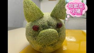 小猪小猪吃哈密瓜