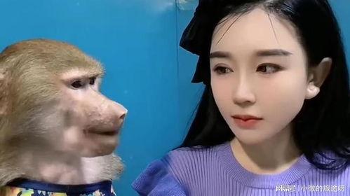 女主播吃瓜变成猴子