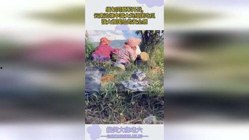 吃瓜云南大妈视频,揭秘当地独特生活风情